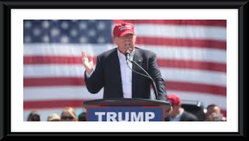 English: Donald Trump speaking at a rally in Fountain Hills, Arizona.
Source: Wikipedia
Credit- Gage Skidmore