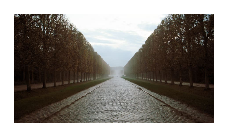 Versaille, Paris, European, Trees, Road, tree, nature, diminishing Perspective, vanishing Point, outdoors | Pxfuel
