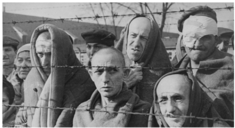 1389.4 Holocaust B | Liberated inmates of Auschwitz behind b… | Flickr
