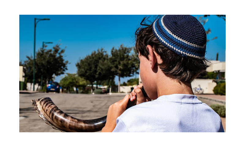 shofar, kid, jewish new year, shana tova, jewish, rosh hashanah, traditional, culture, holiday, tradition | Pxfuel
