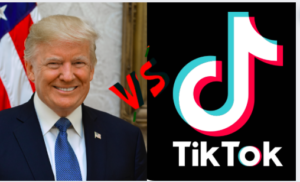 Donald Trump - Wikipedia
TikTok image- canvas
