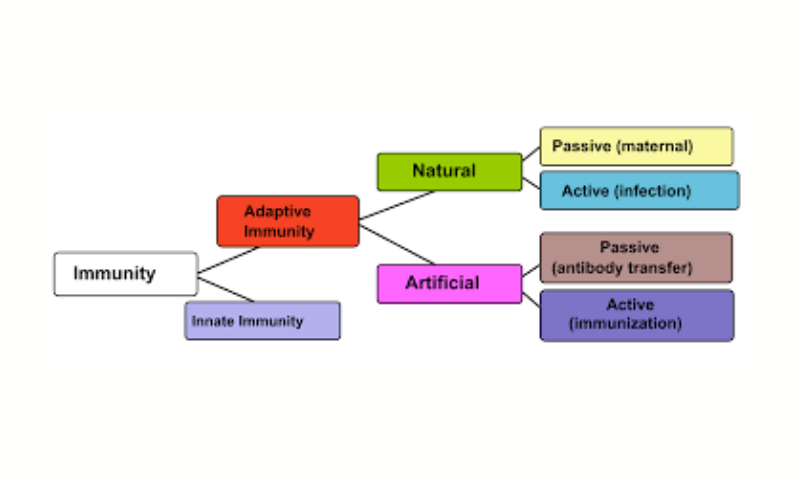 Immunity.svg - Wikimedia Commons
