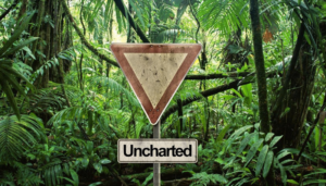 Pixabay
Uncharted Road Sign Jungle - Free photo on Pixabay