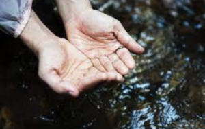 People in nature, water, hand, finger, nail, gesture, leg, holding hands, foot, soil 4000x2815 - rawpixel.com - 1521011 - Free stock photos - PxHere