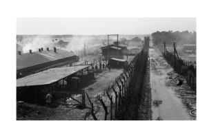 The Liberation of Bergen-belsen Concentration Camp, April 1945 Overview of Camp No 1, now substantially evacuated, taken from a watch tower used by the German guards. (Wikipedia)