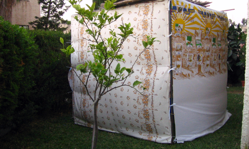 sukkot-12
עברית: - wikipedia