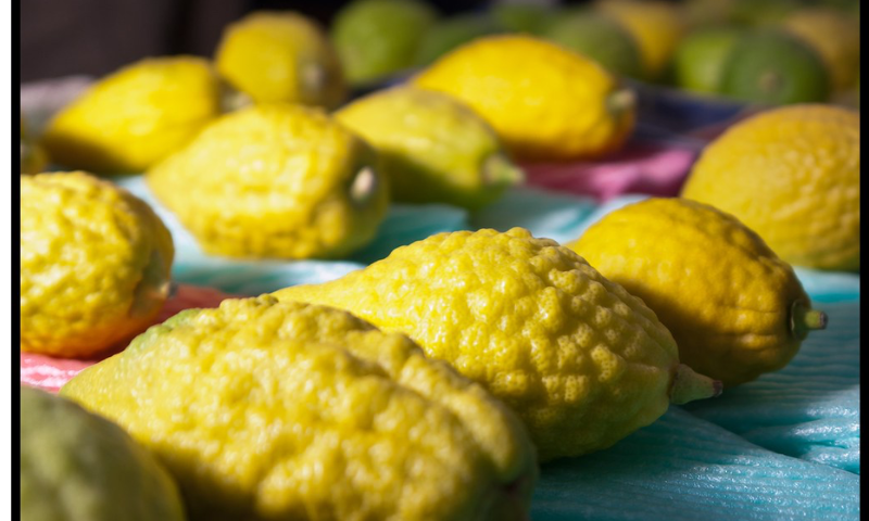 Sukkot, Market of the 4 Species at Bnei Brak-flickr