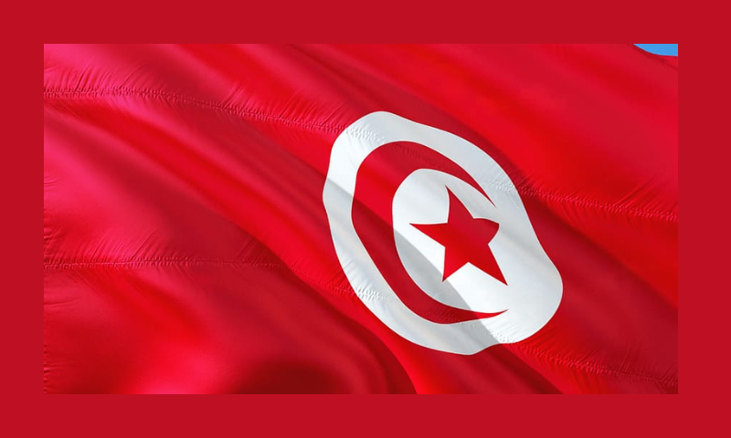 international, flag, tunis, tunisia, red, patriotism, white color, symbol, close-up, full frame | Pxfuel
