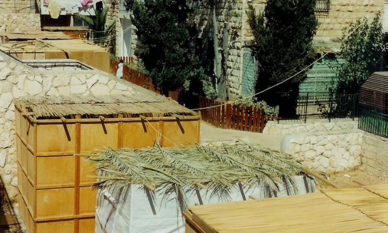 Different types of kosher s'chach serve as roofs for sukkot: woven bamboo mats (far left and right); palm leaves (center)- WIKIPEDIA