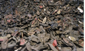 Mountain of shoes from holocaust victims | Konsentrasjonslei… | Flickr
