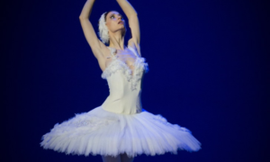 
Anna Tikhomirova (The Bolshoi Ballet) as The Dying Swan | Flickr
Flickr
Anna Tikhomirova (The Bolshoi Ballet) as The Dying Swan | Flickr