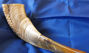 Shofar
James MacDonald from Glasgow, Scotland - Frank-oil-shofar- WIKIPEDIA