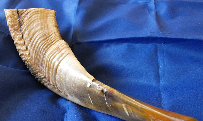 Shofar
James MacDonald from Glasgow, Scotland - Frank-oil-shofar- WIKIPEDIA