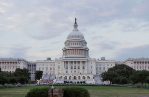 Washington, D.C. - The Capitol (Wikipedia)