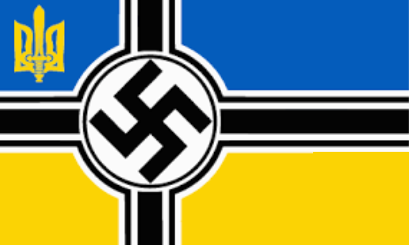 Ukrainian neo-Nazi flag.svg - Wikimedia Commons
