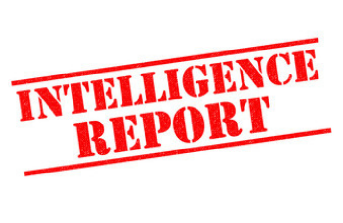 INTELLIGENCE REPORT(Adobe stock free)