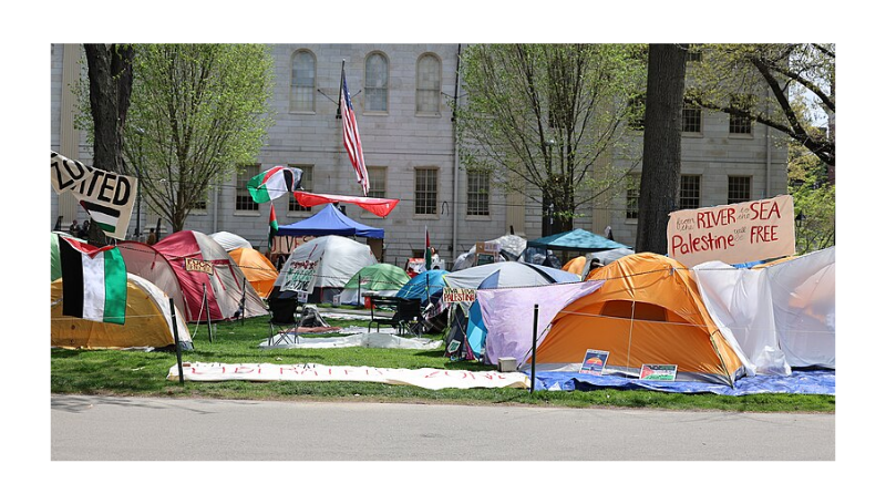  Harvard University Free Palestine Camp, organized in April-May 2024 in support of the Palestine.- Wikipedia