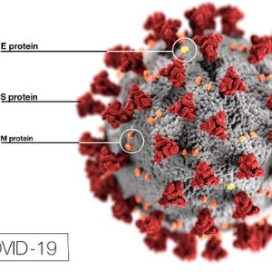 This illustration, created at the Centers for Disease Control and Prevention (CDC), reveals ultrastructural morphology exhibited by coronaviruses. The illness caused by this virus has been named coronavirus disease 2019 (COVID-19). (CDC Illustration) (Source Health.MIL)